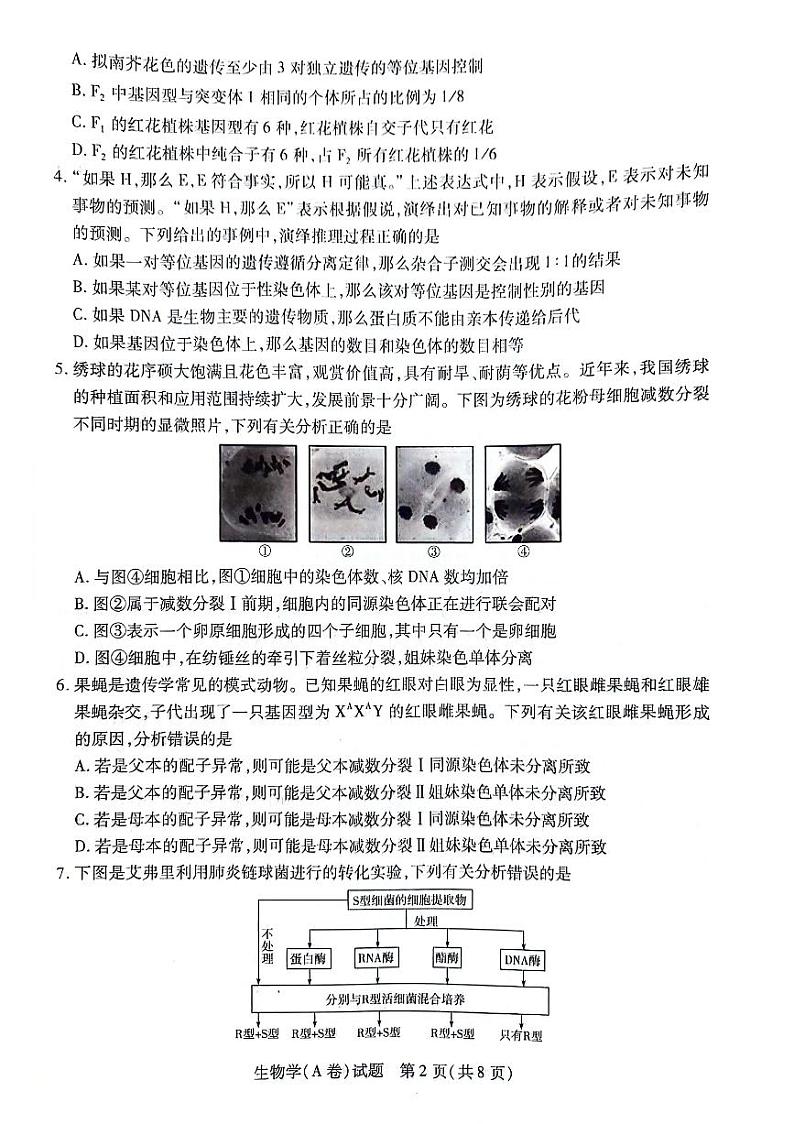 2024安徽卓越县中联盟皖豫名校联盟高一下学期4月期中考试生物PDF版含解析02