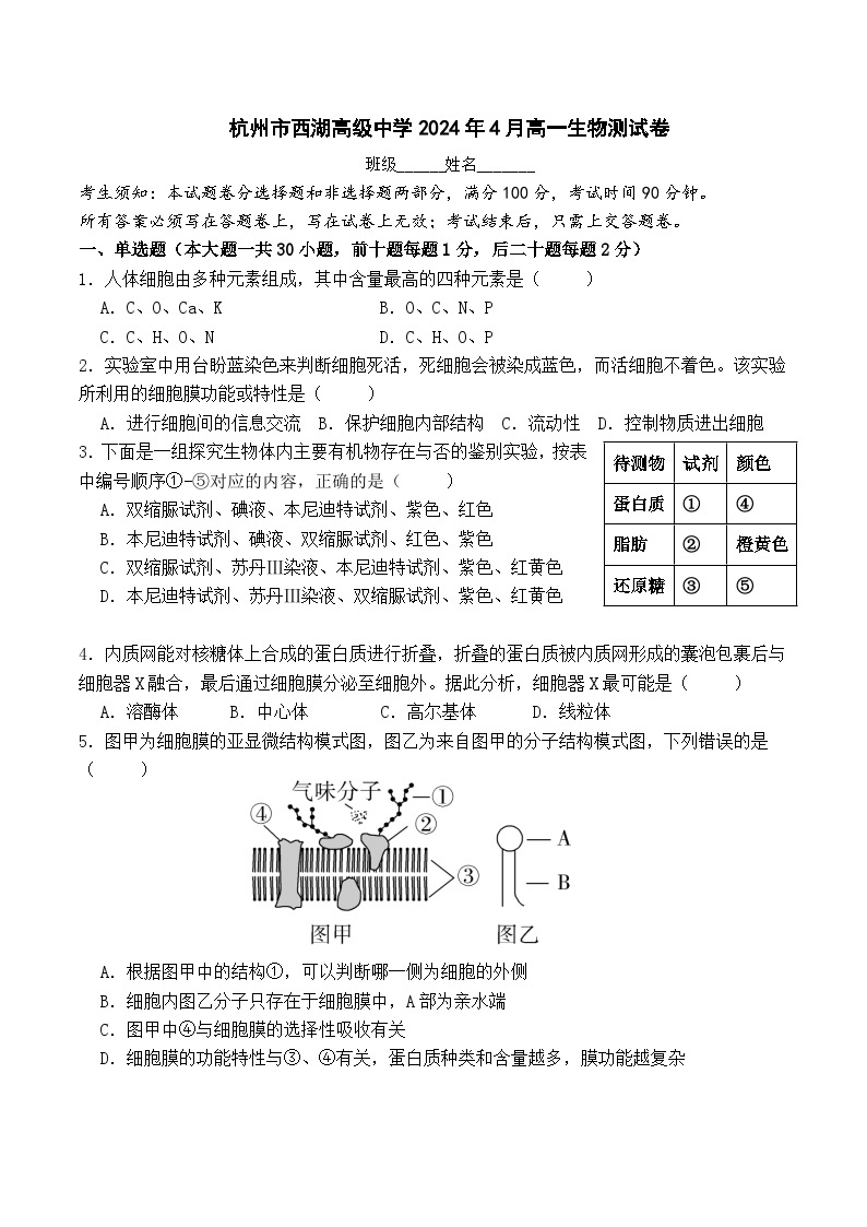 2024杭州西湖高级中学高一下学期4月期中考试生物含答案01