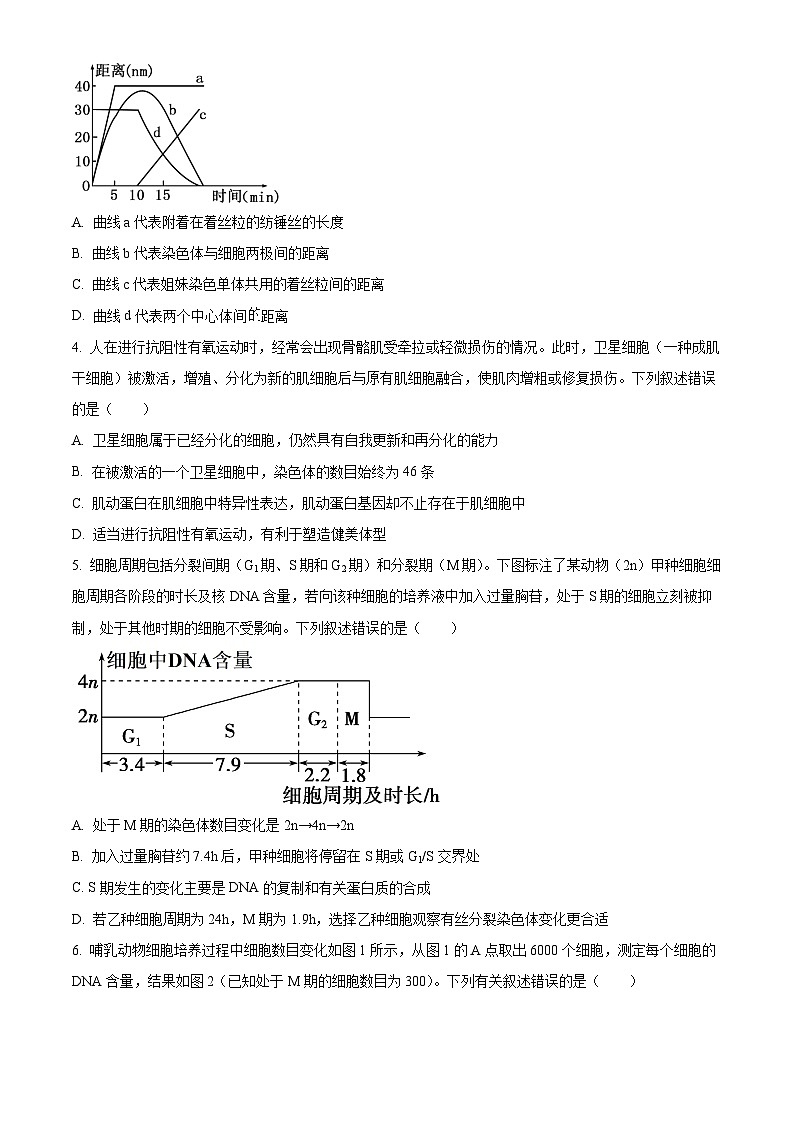 2024安庆二中高一下学期期中生物试题含解析02