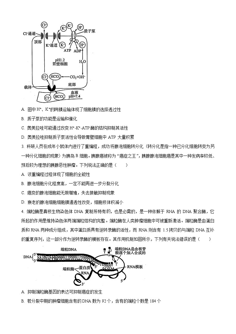 2024届湖南省北师联盟高三下学期二模考试生物试题（原卷版）第2页