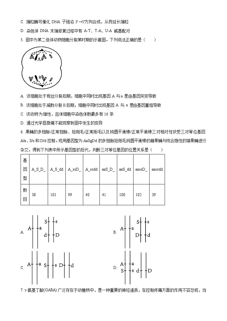 2024届湖南省北师联盟高三下学期二模考试生物试题（原卷版）第3页