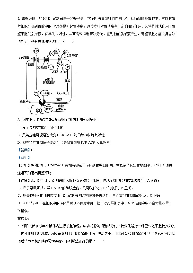 2024届湖南省北师联盟高三下学期二模考试生物试题（解析版）第2页