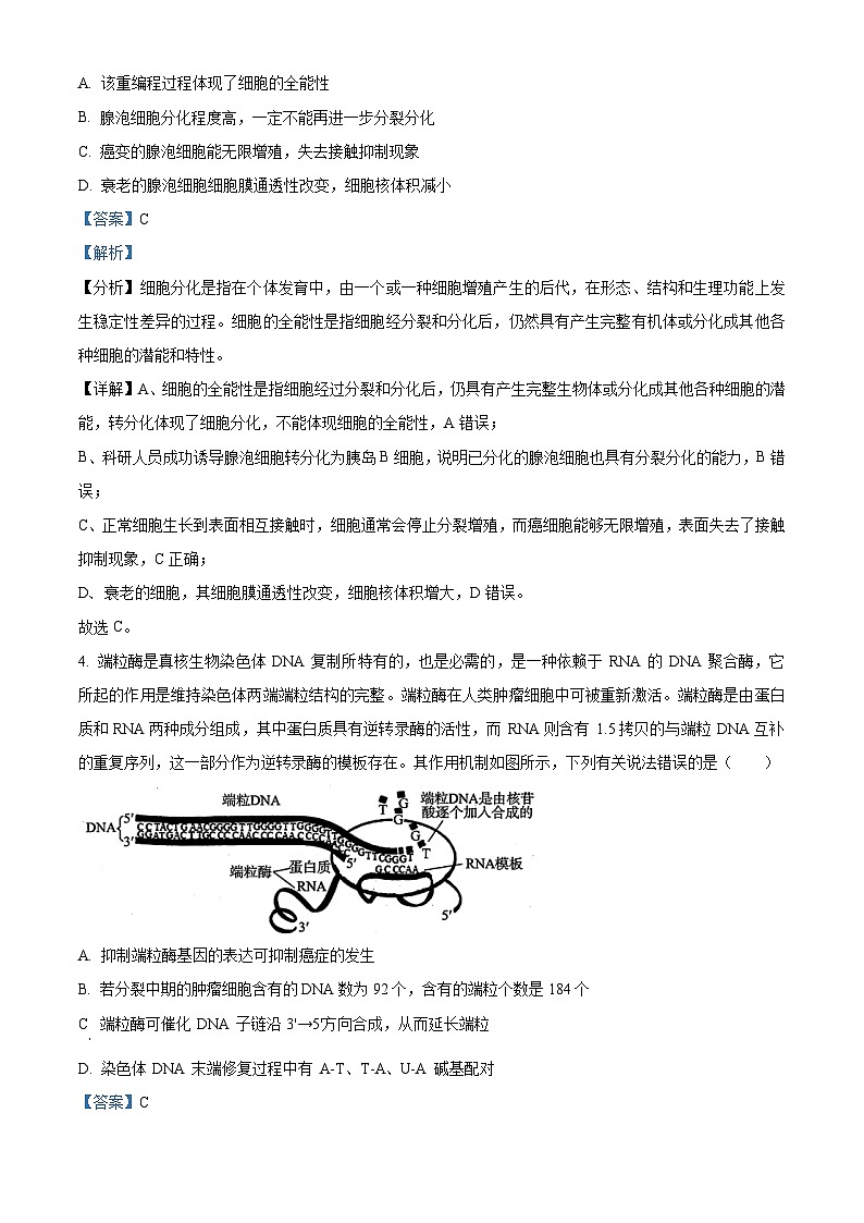 2024届湖南省北师联盟高三下学期二模考试生物试题（解析版）第3页