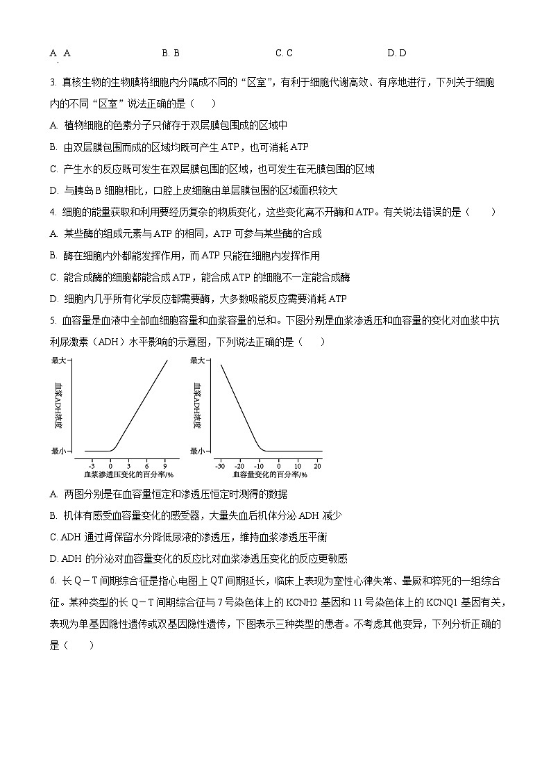 2024届辽宁省重点高中协作校高三下学期第二次模拟联考生物试题（原卷版+解析版）02