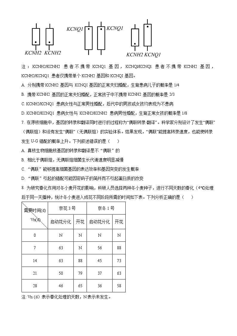 2024届辽宁省重点高中协作校高三下学期第二次模拟联考生物试题（原卷版+解析版）03
