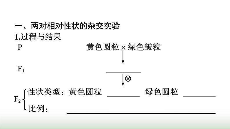 人教版高中生物必修二第1章遗传因子的发现第2节第1课时孟德尔两对相对性状的杂交实验、对自由组合现象的解释和验证课件04