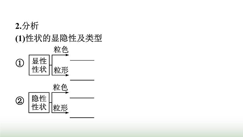 人教版高中生物必修二第1章遗传因子的发现第2节第1课时孟德尔两对相对性状的杂交实验、对自由组合现象的解释和验证课件05