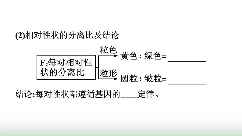 人教版高中生物必修二第1章遗传因子的发现第2节第1课时孟德尔两对相对性状的杂交实验、对自由组合现象的解释和验证课件07