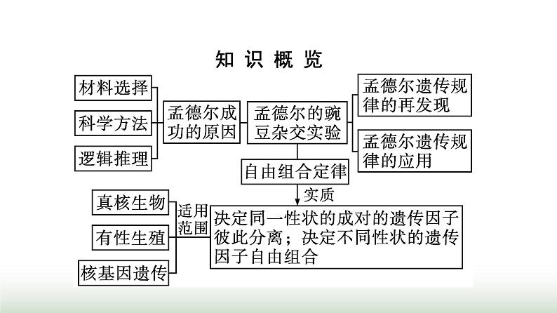 人教版高中生物必修二第1章遗传因子的发现第2节第2课时孟德尔遗传规律的再发现及孟德尔遗传规律的应用课件03