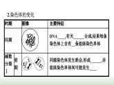 人教版高中生物必修二第2章基因和染色体的关系第1节第1课时减数分裂课件