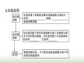 人教版高中生物必修二第2章基因和染色体的关系第1节第2课时观察蝗虫精母细胞减数分裂装片及受精作用课件