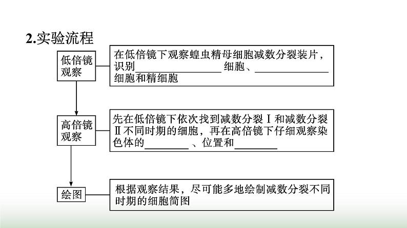 人教版高中生物必修二第2章基因和染色体的关系第1节第2课时观察蝗虫精母细胞减数分裂装片及受精作用课件第5页