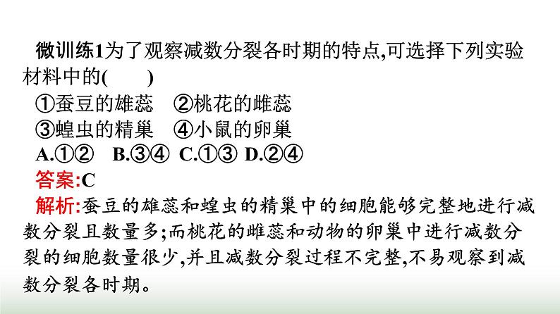 人教版高中生物必修二第2章基因和染色体的关系第1节第2课时观察蝗虫精母细胞减数分裂装片及受精作用课件第7页