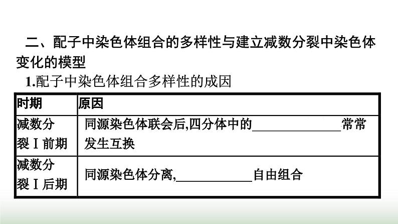 人教版高中生物必修二第2章基因和染色体的关系第1节第2课时观察蝗虫精母细胞减数分裂装片及受精作用课件第8页