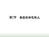 人教版高中生物必修二第2章基因和染色体的关系第2节基因在染色体上课件