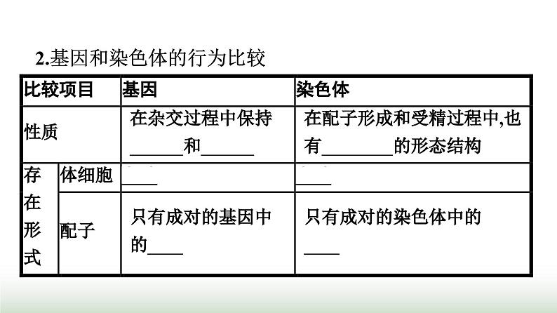 人教版高中生物必修二第2章基因和染色体的关系第2节基因在染色体上课件第5页