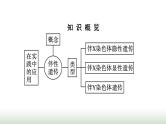 人教版高中生物必修二第2章基因和染色体的关系第3节伴性遗传课件