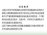 人教版高中生物必修二第3章基因的本质第2节DNA的结构课件