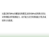 人教版高中生物必修二第3章基因的本质第2节DNA的结构课件