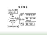 人教版高中生物必修二第3章基因的本质第2节DNA的结构课件