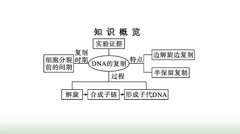 人教版高中生物必修二第3章基因的本质第3节DNA的复制课件第3页