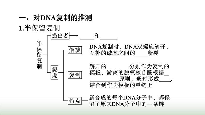 人教版高中生物必修二第3章基因的本质第3节DNA的复制课件第4页