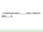 人教版高中生物必修二第3章基因的本质第3节DNA的复制课件