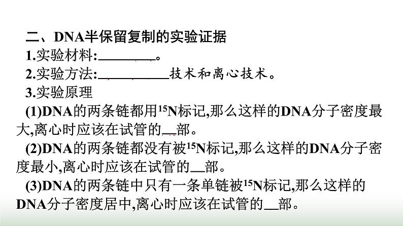 人教版高中生物必修二第3章基因的本质第3节DNA的复制课件第6页