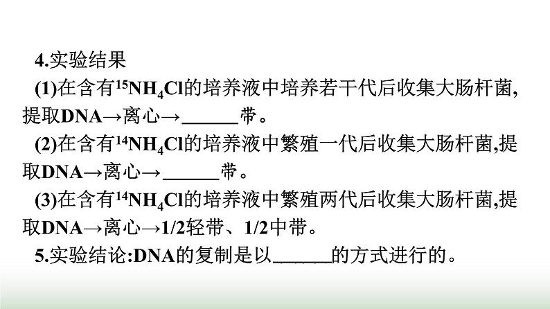 人教版高中生物必修二第3章基因的本质第3节DNA的复制课件第7页