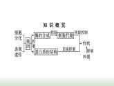 人教版高中生物必修二第4章基因的表达第2节基因表达与性状的关系课件