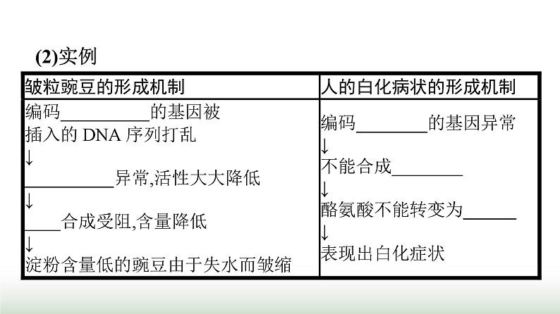 人教版高中生物必修二第4章基因的表达第2节基因表达与性状的关系课件第5页