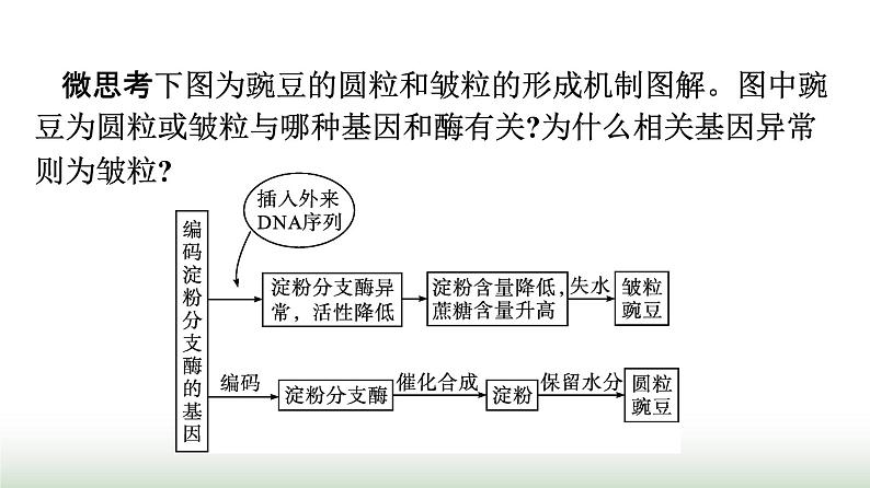 人教版高中生物必修二第4章基因的表达第2节基因表达与性状的关系课件第8页