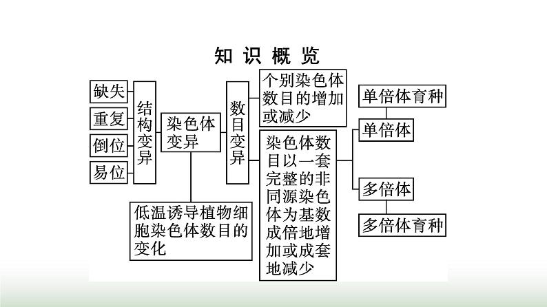 人教版高中生物必修二第5章基因突变及其他变异第2节染色体变异课件04