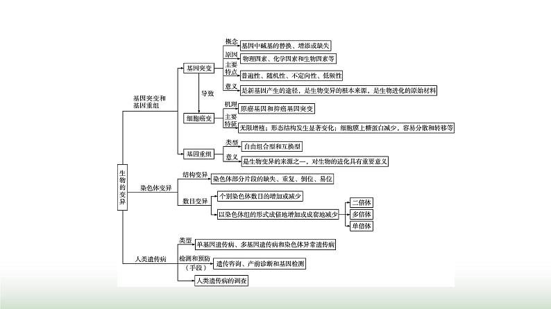 人教版高中生物必修二第5章基因突变及其他变异章末核心素养整合课件02