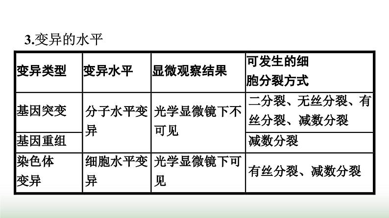 人教版高中生物必修二第5章基因突变及其他变异章末核心素养整合课件04