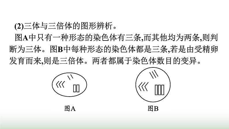 人教版高中生物必修二第5章基因突变及其他变异章末核心素养整合课件06