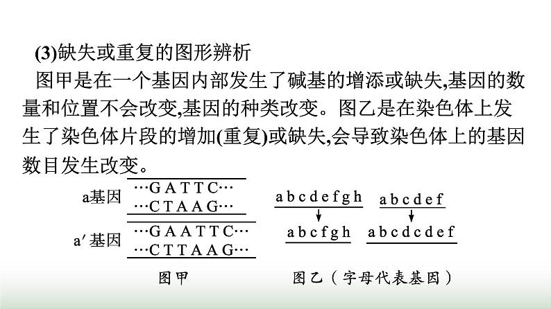 人教版高中生物必修二第5章基因突变及其他变异章末核心素养整合课件07