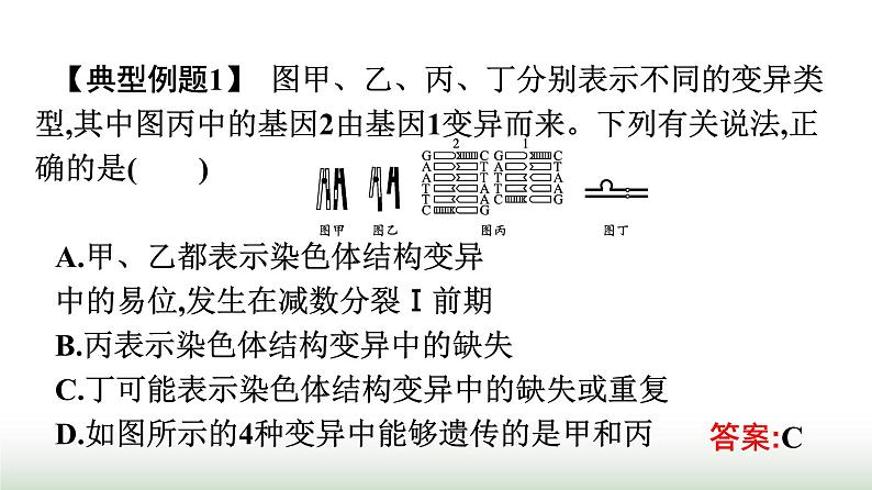 人教版高中生物必修二第5章基因突变及其他变异章末核心素养整合课件08