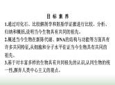 人教版高中生物必修二第6章生物的进化第1节生物有共同祖先的证据课件