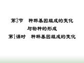 人教版高中生物必修二第6章生物的进化第3节第1课时种群基因组成的变化课件