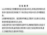 人教版高中生物必修二第6章生物的进化第3节第1课时种群基因组成的变化课件