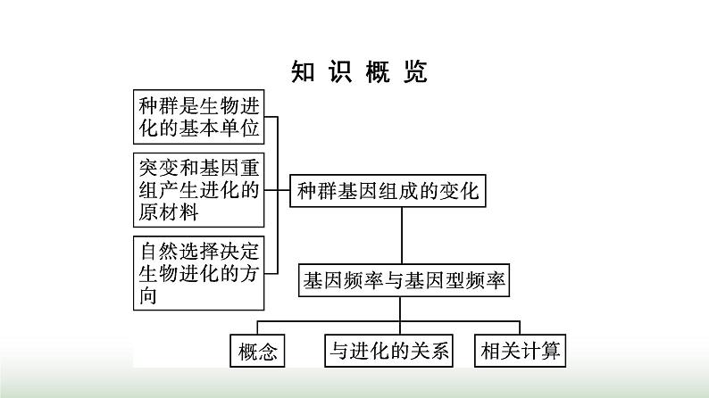 人教版高中生物必修二第6章生物的进化第3节第1课时种群基因组成的变化课件第3页