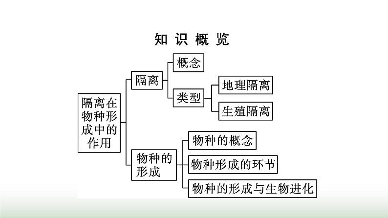 人教版高中生物必修二第6章生物的进化第3节第2课时隔离在物种形成中的作用课件03