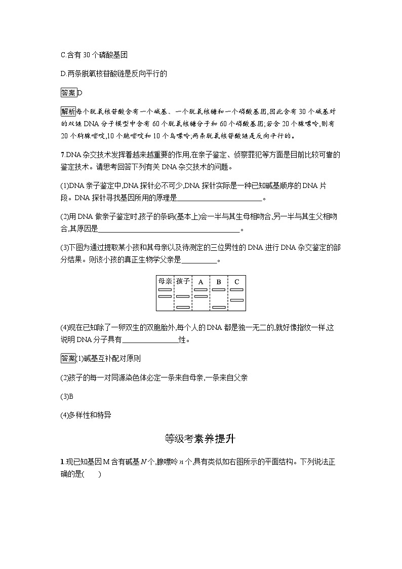 人教版高中生物必修二第3章基因的本质第2节DNA的结构练习含答案第3页