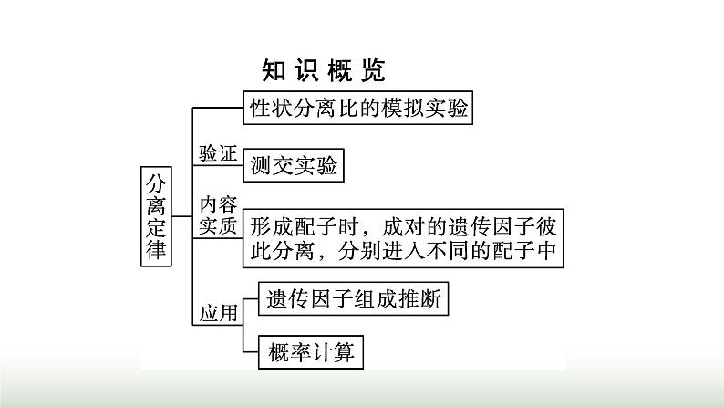 人教版高中生物必修二第1章遗传因子的发现第1节第2课时孟德尔对分离现象解释的验证和分离定律课件03