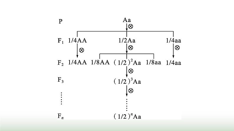 人教版高中生物必修二第一章遗传因子的发现微专题一利用遗传定律求解概率课件04