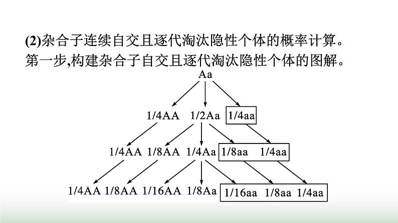 人教版高中生物必修二第一章遗传因子的发现微专题一利用遗传定律求解概率课件06