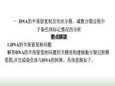 人教版高中生物必修二第三章基因的本质微专题二DNA的半保留复制及细胞分裂课件