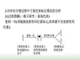 人教版高中生物必修二第三章基因的本质微专题二DNA的半保留复制及细胞分裂课件