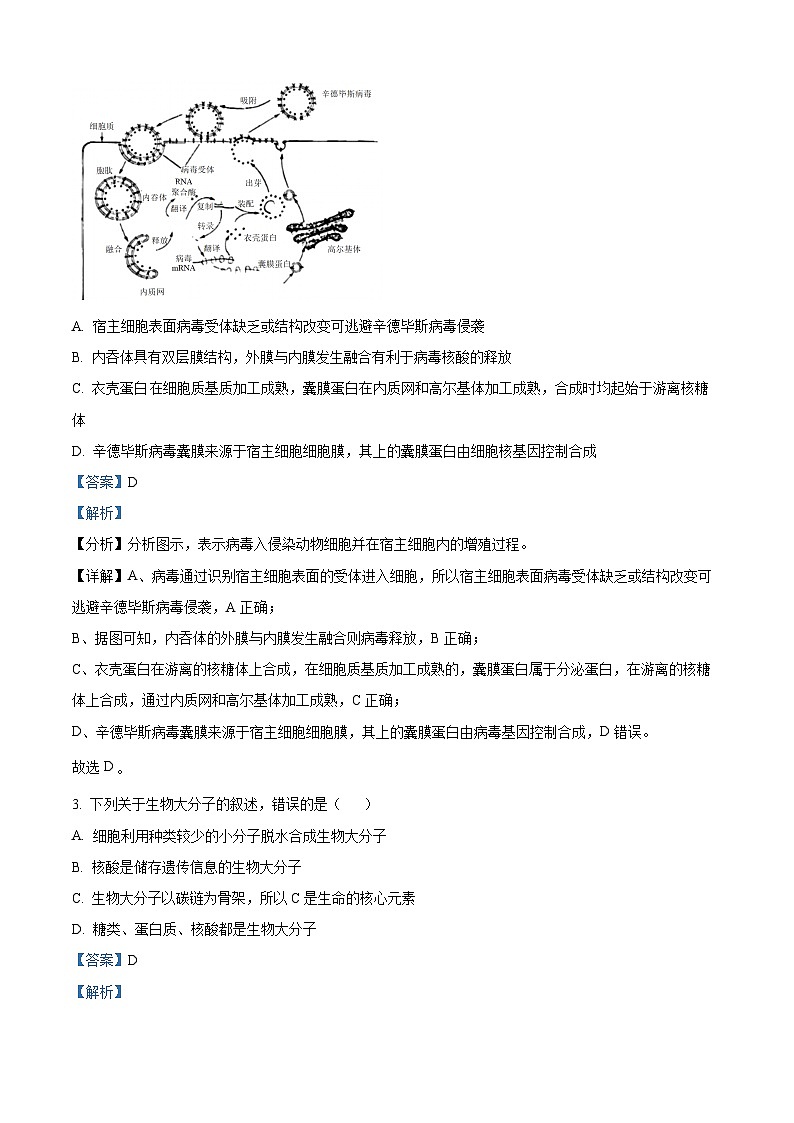 广东省珠海市六校联考2023-2024学年高一下学期4月期中生物试题（原卷版+解析版）02